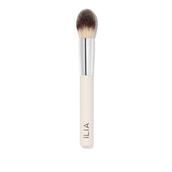 Precision Powder Brush Pinceau poudre précision
