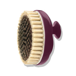 N°01 Brosse Corps x Talm Peaux Sensibles