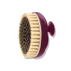 N°01 Brosse Corps x Talm Peaux Sensibles