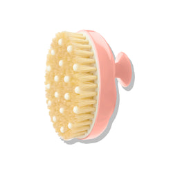 N°02 Brosse Corps x Talm Peaux Normales
