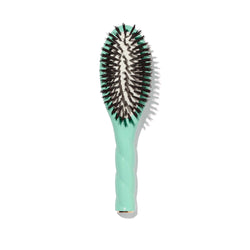 La Petite Brosse n°01 l'Universelle